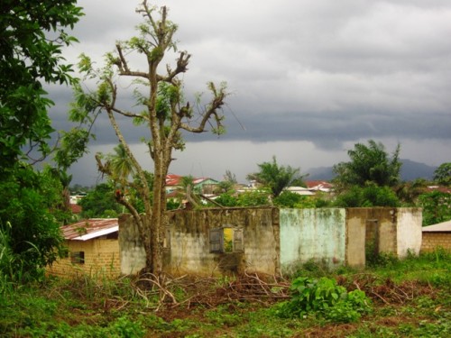 I managed to make it to the taxi stand before the storm hit.